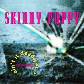 Download track One Time One Place Skinny Puppy