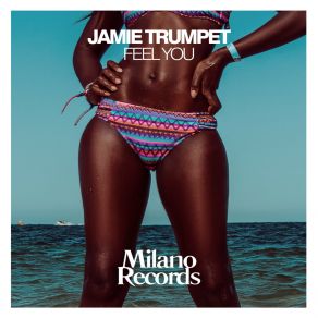 Download track Feel You (Vip Dub Mix) Jamie Trumpet