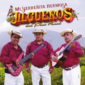 Download track El Rayador Los Jilgueros Del Pico Real