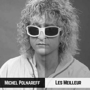 Download track Le Pauv Guitariste Michel Polnareff