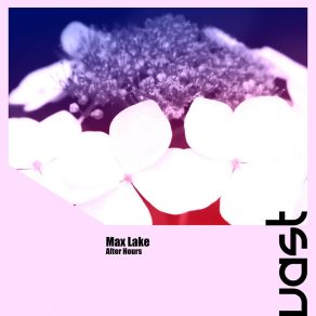 Download track After Hours (Radio Edit) Max Lake