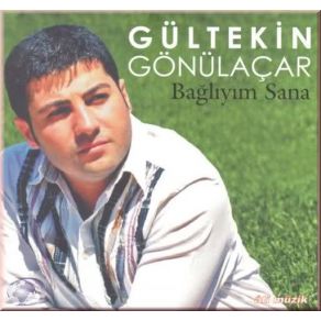 Download track Dönelim Dostum Gültekin Gönülaçar