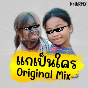 Download track แกเป็นใคร (Instrumental) KritRMX