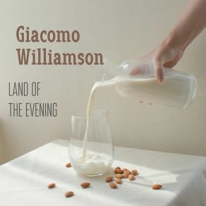 Download track Blissful Chances Giacomo Williamson