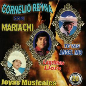 Download track Pideme Lo Que Quieras Cornelio Reyna