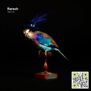 Download track Bioco23 Raresh