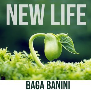 Download track Catch The Moment Baga Banini