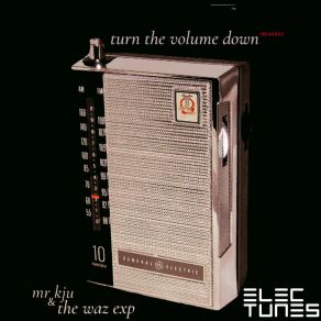 Download track Turn The Volume Down (Loopus Deep Rework) The Waz Exp