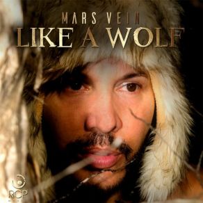 Download track Can You Hear Me Mars Vein