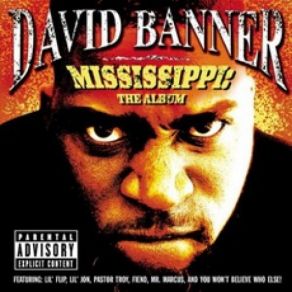 Download track Like A Pimp David BannerLil' Flip