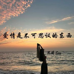 Download track 见面都没有最后一回 思婷Sny