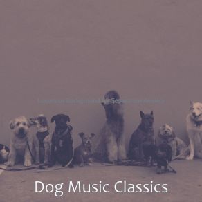 Download track Lonely Music For Doggy Training Dog Music Classics