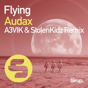 Download track Flying (Instrumental Mix) Audax