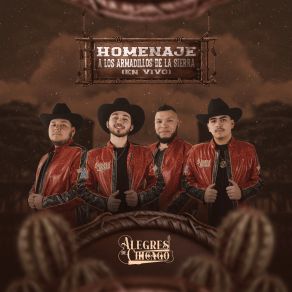 Download track Elenita (En Vivo) Alegres De Chicago