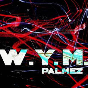 Download track W. Y. M. (Illegal Mix) Palmez