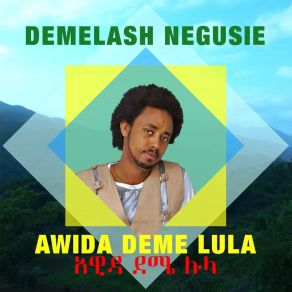 Download track Lula Demelash Negusie