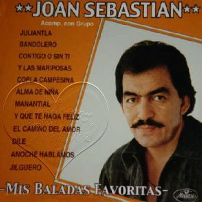 Download track El Camino Del Amor Joan Sebastián