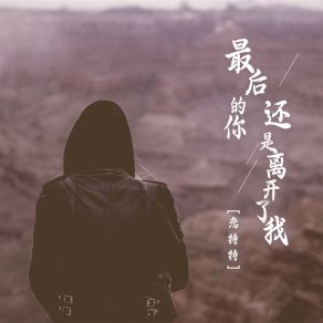 Download track 最后的你还是离开了我 (DJbanan版) 恋特特