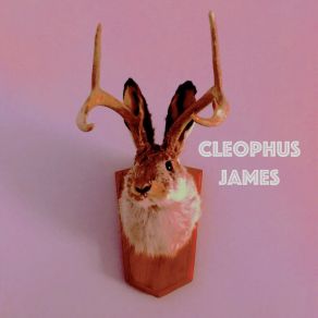 Download track Keep On Sleeping On Cleophus James