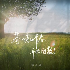 Download track 莽撞的青春开始倒数了 林小海