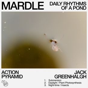 Download track Daylight / Plant Photosynthesis Jack Greenhalgh