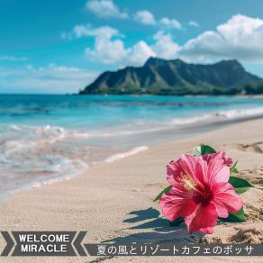 Download track Serene Seaside Retreat Welcome Miracle