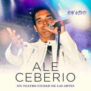 Download track Dejare La Llave En Mi Puerta / Un Muchacho Como Yo / Te Voy A Amar Ale Ceberio