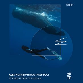 Download track The Beauty And The Whale (Original Mix) Poli-Poli