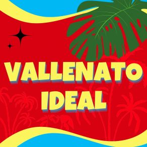 Download track Vallenato Soñado Los Vallenateros