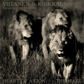 Download track The Maze VIITANEN & KIRKKALAJari Pasuri