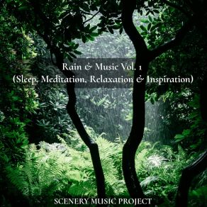 Download track Rain Makes Me Feel Alive (Rain & Music) SCENERY MUSIC PROJECTThe Music, The Rain