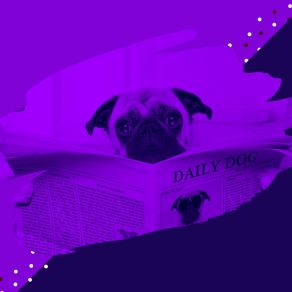 Download track Entertaining Ambience For Sleeping Dogs Doggy Naptime Vibes