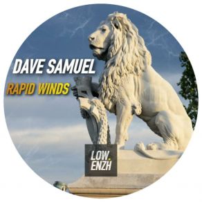 Download track Motion (Original Mix) Dave Samuel