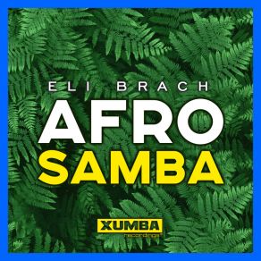 Download track Afro Samba (Pure Samba Mix) Eli Brach