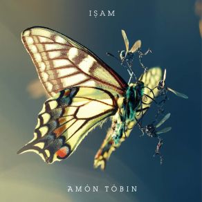 Download track Calculate Amon Tobin