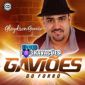 Download track Promocional Novembro (121) Aviões Do Forró