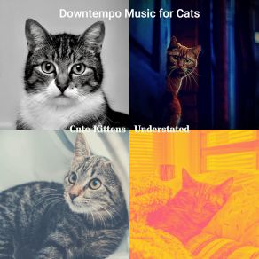 Download track Playful (Sleeping Cats) Downtempo Music For Cats