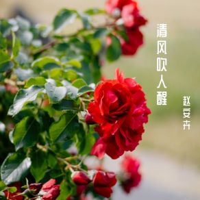 Download track 邂逅黄昏 赵安卉