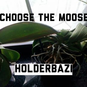 Download track Do Not Lose The Moose Holderbazi