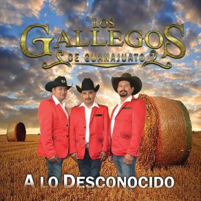 Download track Fingio Llorar Los Gallegos De Guanajuato