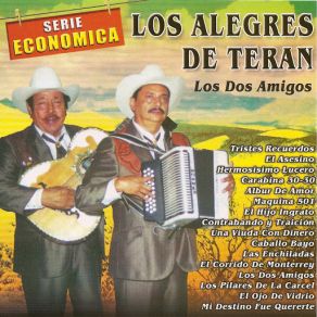 Download track Los Dos Amigos Los Alegres De Teran