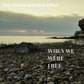 Download track All My Friends Are Skeletons The Charlie Marshall Effect