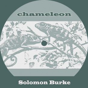 Download track Home In Your Heart Solomon Burke