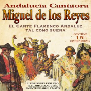 Download track Esa Es La Puerta Miguel De Los Reyes