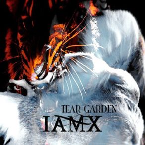 Download track Tear Garden (Art Deco Version) IAMX