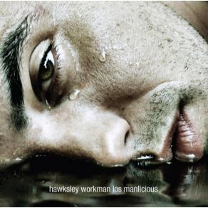 Download track In The Bedroom In The Daytime Hawksley Workman