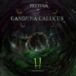 Download track Into The Woods (Original Mix) Psytuga