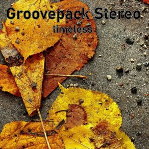 Download track I've Got The Flow Groovepack Stereo