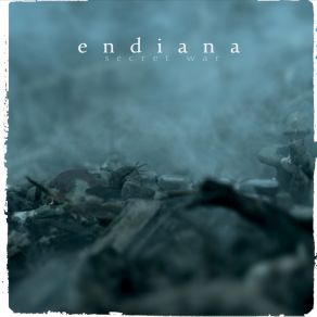 Download track 6 Ball Endiana