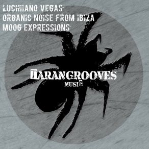 Download track Moog Expressions (Main Mix) Luchiiano Vegas